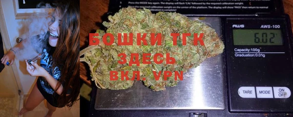 тгк Горно-Алтайск
