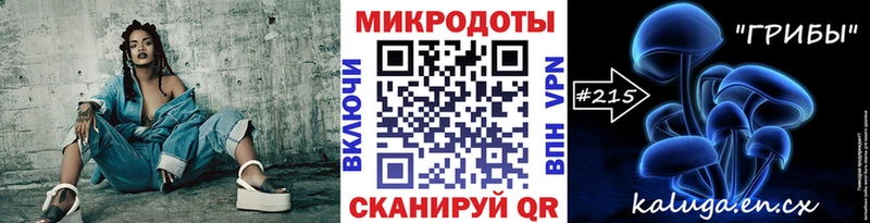 Псилоцибиновые грибы Cubensis  закладки  Муром 