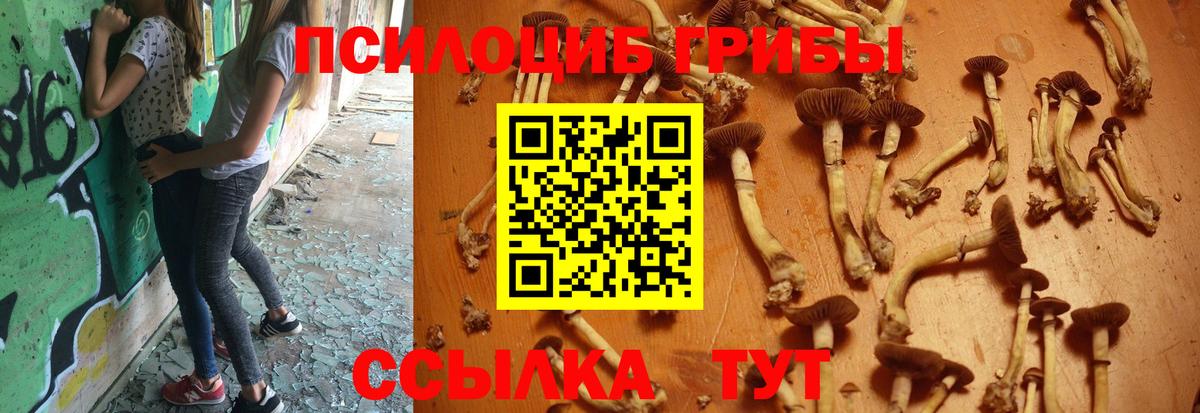 Галлюциногенные грибы MAGIC MUSHROOMS Муром